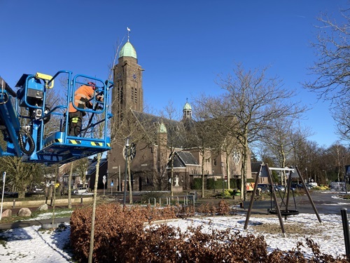 Snoeibeurt van bomen aan het Willem-Alexanderpark